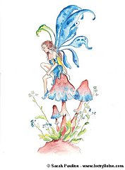 Fairy 18